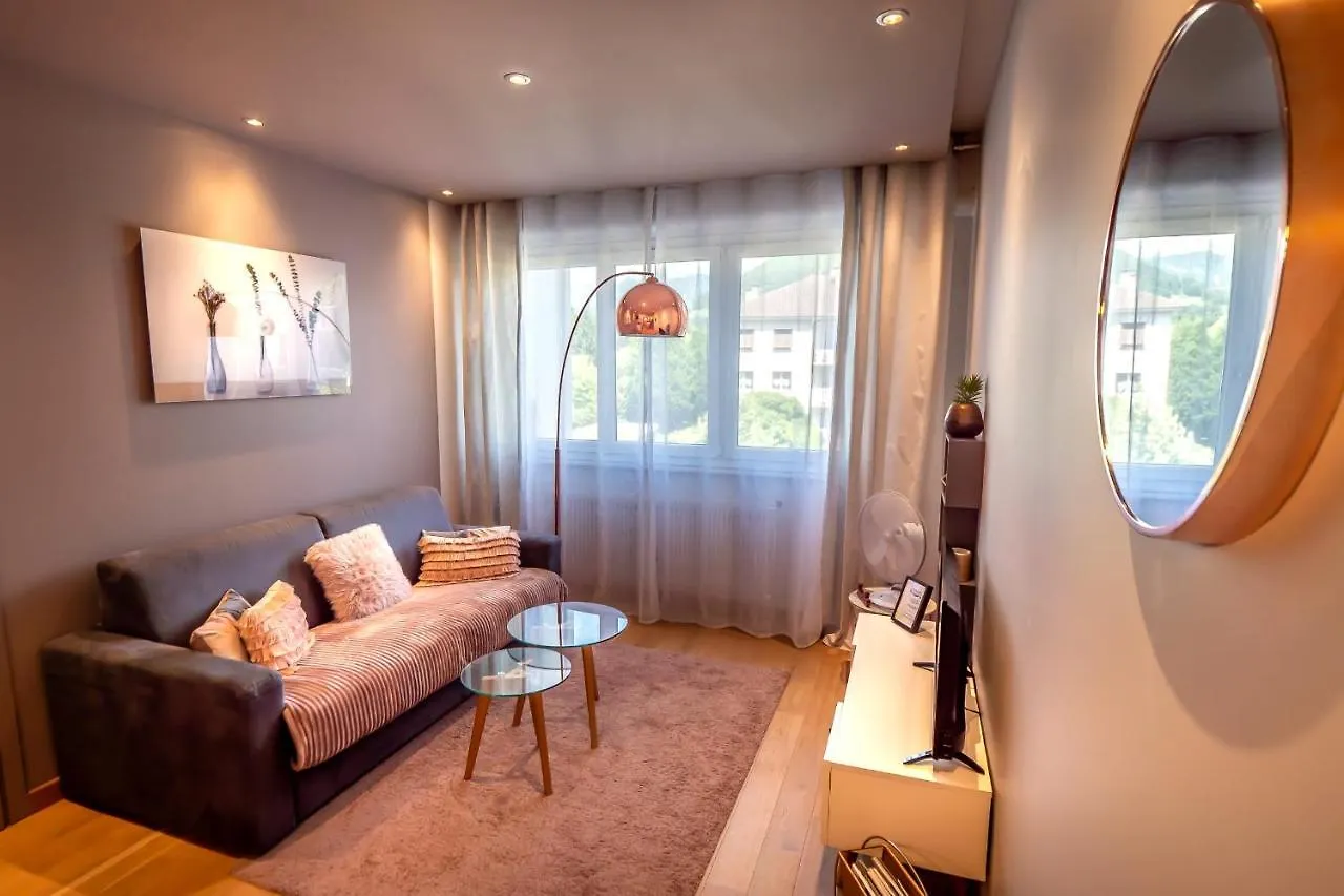 Apartament La Plage Dalbigny - T2 Classe 3 Etoiles 100 M Du Lac Parking Annecy